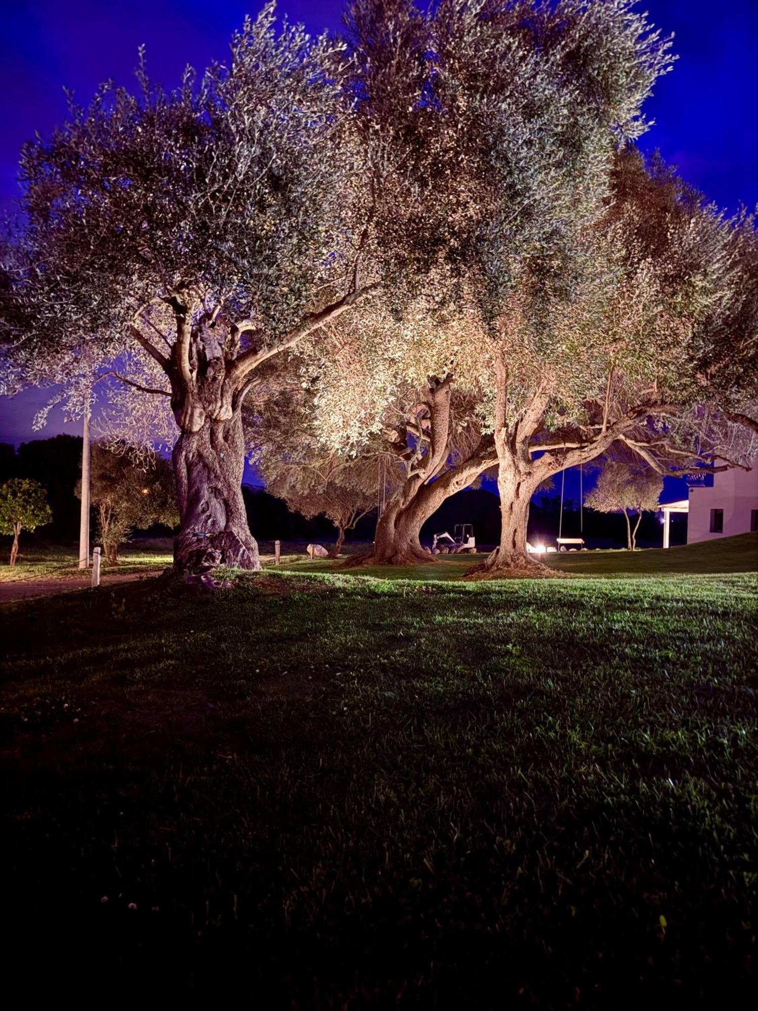 ארזח'ינה Uddastri Retreat מראה חיצוני תמונה
